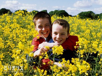 Millions ミリオンズ ’04 イギリス_e0079992_2015138.jpg