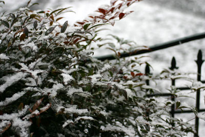 c0011204_20371110.jpg