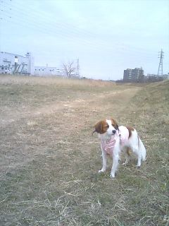 c0065512_234470.jpg