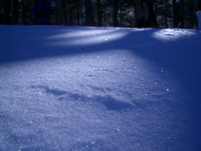 雪ごもり in 八ヶ岳_e0054423_2247528.jpg