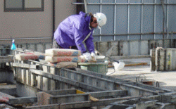 新しい実験_d0041124_17132550.gif