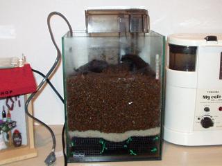 ベルキングjr.の住居_b0022570_1012729.jpg