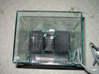 ベルキングjr.の住居_b0022570_105639.jpg