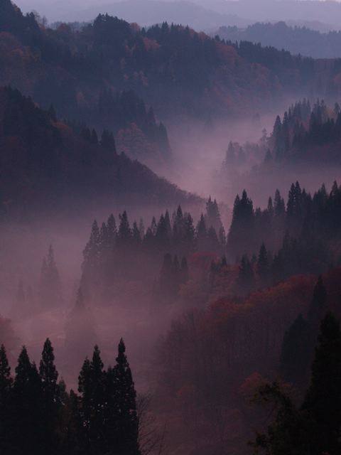 a0025576_2258643.jpg