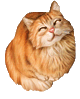 f0004581_1543891.gif