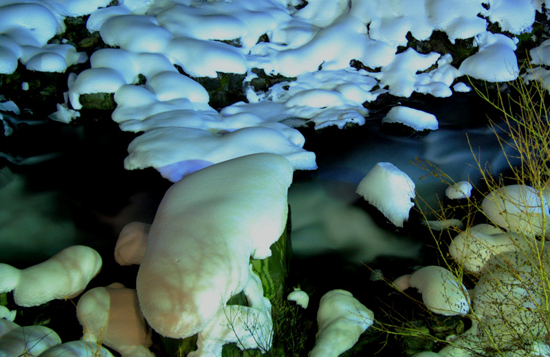c0032494_8164493.jpg