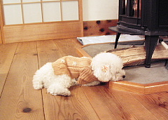 c0039501_22583469.jpg