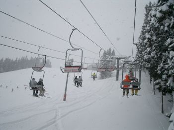 c0065512_0121465.jpg