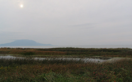 f0035016_2247377.jpg