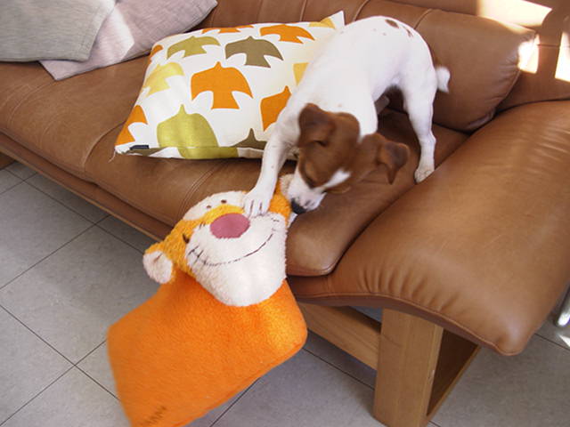 c0035931_15143112.jpg