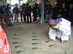 植槻八幡神社おん田祭（大和郡山市）_d0049152_18295042.jpg