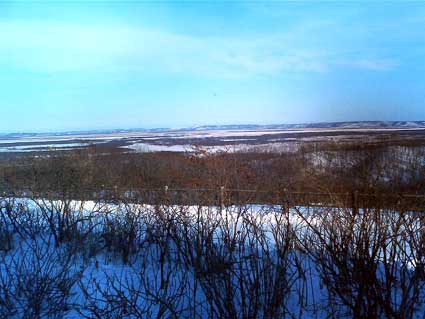 b0069156_23284968.jpg