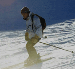 a0055362_21314720.gif