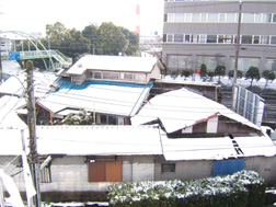 e0025073_13483614.jpg