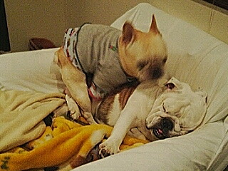 c0023399_185129100.jpg