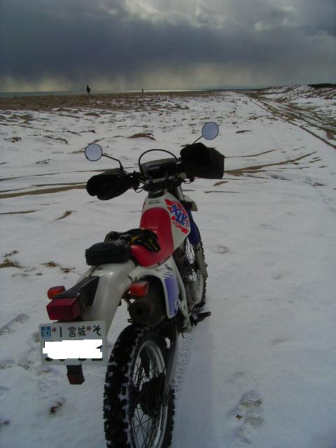b0050305_1725551.jpg