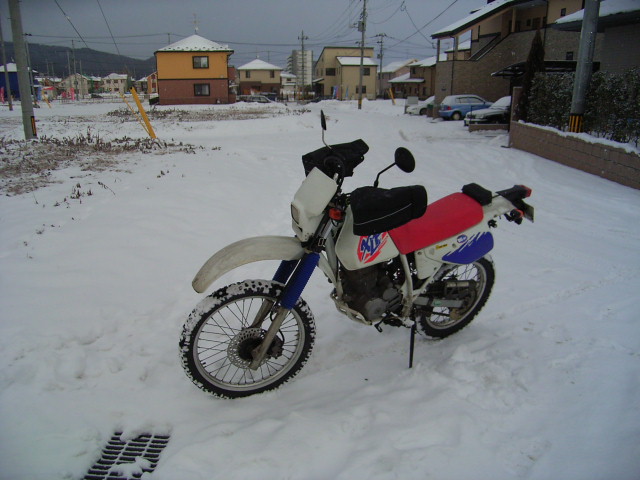 b0050305_17373851.jpg