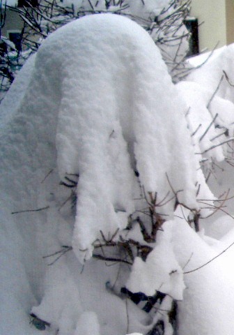 d0050007_16273460.jpg