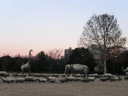 黄昏に動物たちの群と夕日に浮かぶ木々_d0059008_10591087.jpg