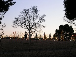 黄昏に動物たちの群と夕日に浮かぶ木々_d0059008_110659.jpg