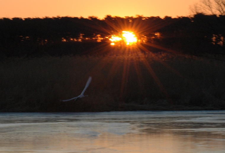 a0031821_2115678.jpg
