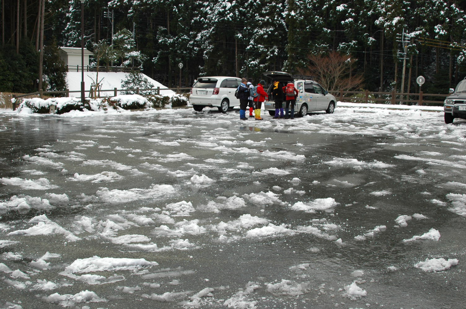 f0000330_16335464.jpg