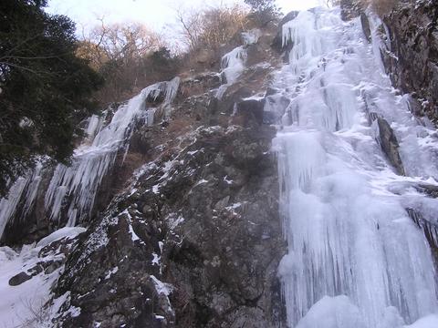 f0000330_16461497.jpg