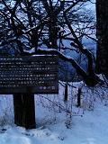 a0048040_21241827.jpg