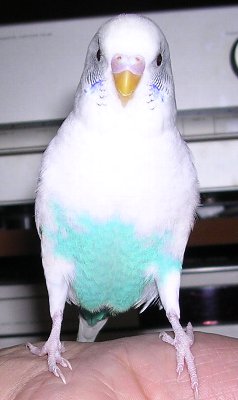 c0054148_14571931.jpg