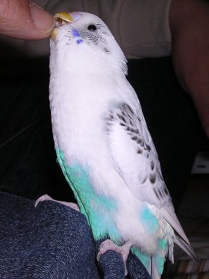 c0054148_152090.jpg