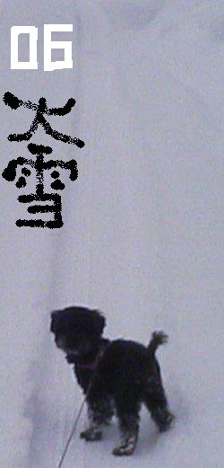 e0082956_5222914.jpg