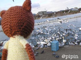 『昆陽池公園を行く』_b0059664_054067.jpg