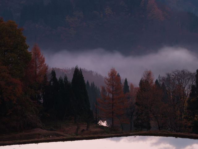 a0025576_2111164.jpg