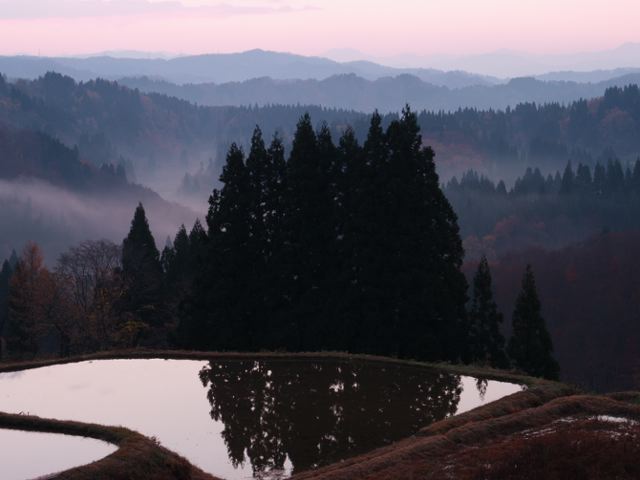 a0025576_211254.jpg