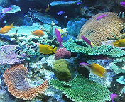 f0018790_263626.jpg