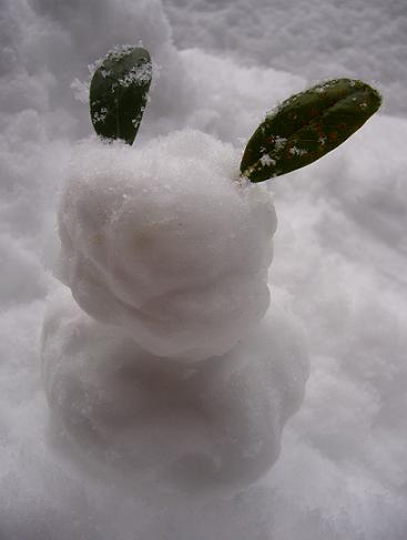 e0023496_21145171.jpg