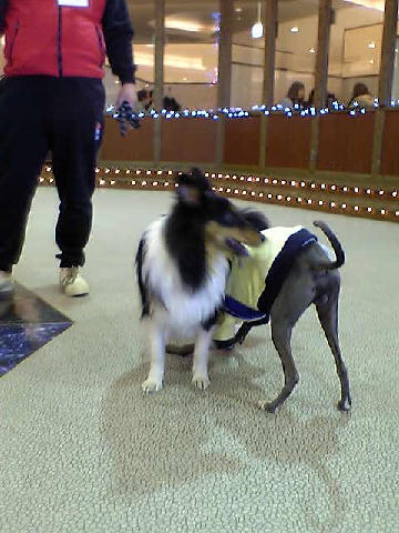 c0003217_0304791.jpg