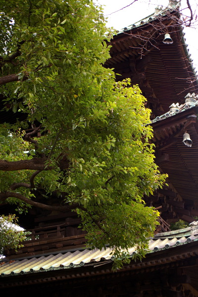 b0053019_021302.jpg