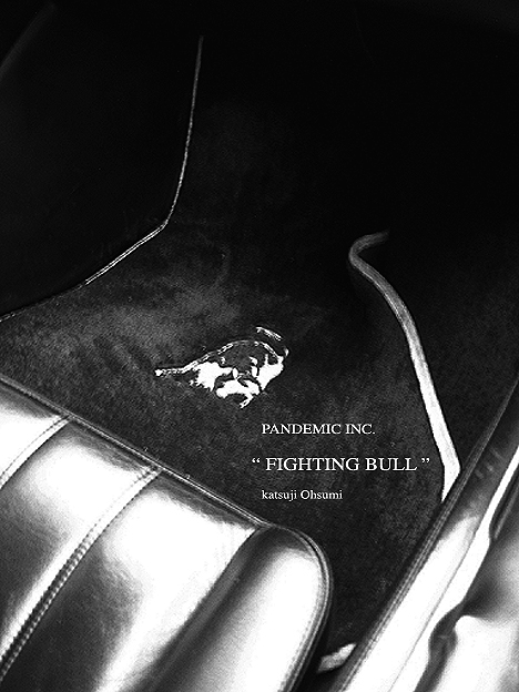 FIGHTING BULL_c0001419_16511228.jpg