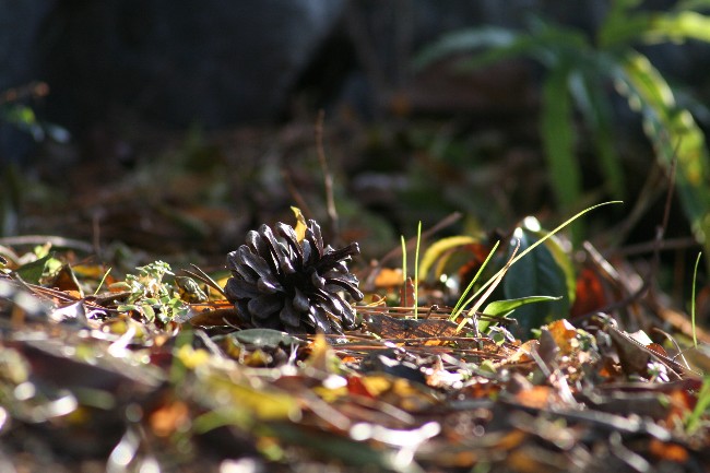f0017530_048190.jpg