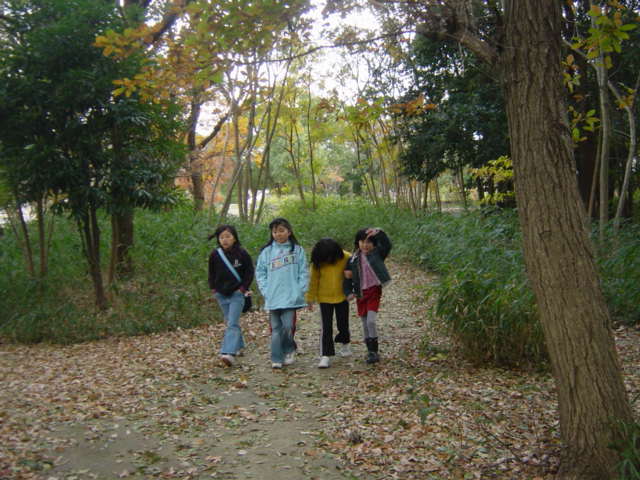 霜で凍える木々／２０歳の式典／町を行く_c0036831_22294526.jpg