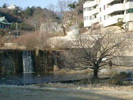 e0028056_22211483.jpg