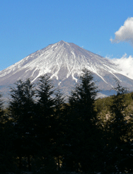 富士山と寿司とYシャツと私_e0060677_0205825.gif