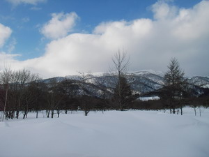 a0043193_21383834.jpg