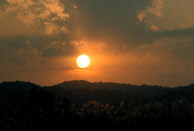c0006696_09141.jpg