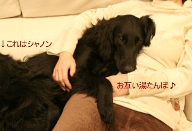 c0050400_16501246.jpg