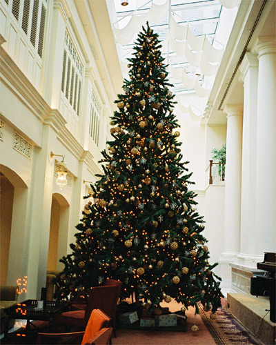c0065600_22325110.jpg