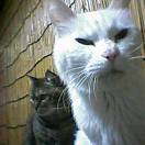 c0005007_4203749.jpg