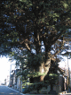 d0014408_15591292.gif