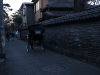 d0014408_165473.gif